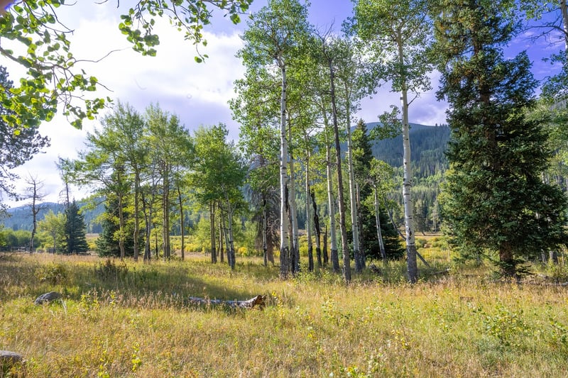 Aspen, Colorado